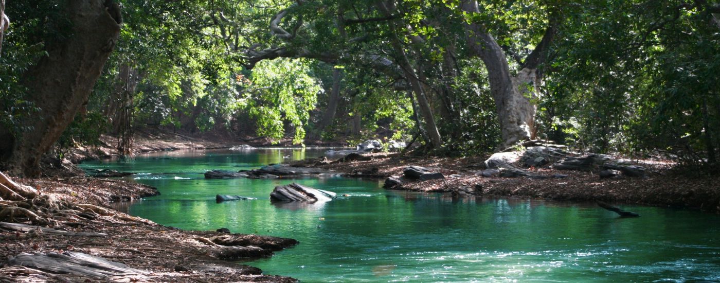Global Environmental Markets Update - August 2026