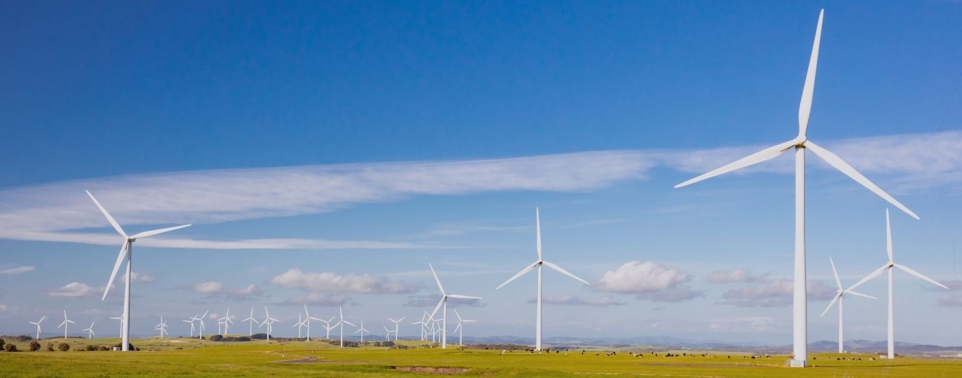 What Capacity Investment Scheme winners can - and can’t - tell you about your project