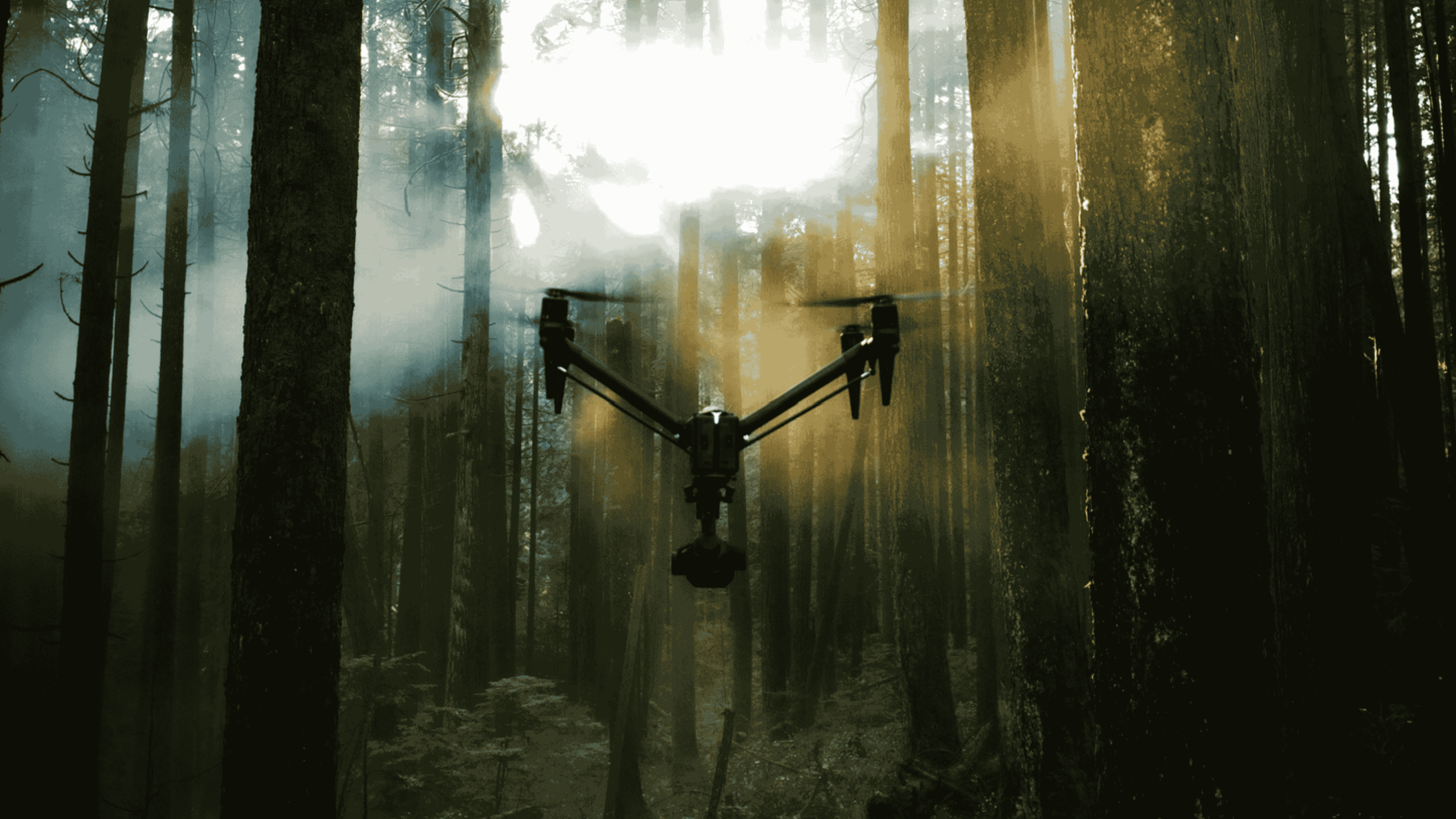 Drone hovering in a dense forest with sunlight filtering through the trees.