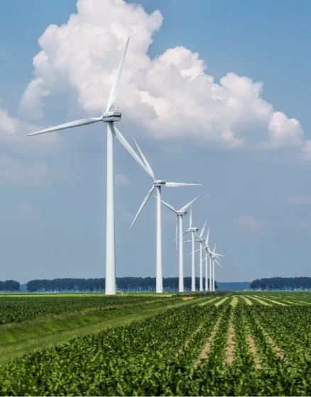 green-energy-blue-economy