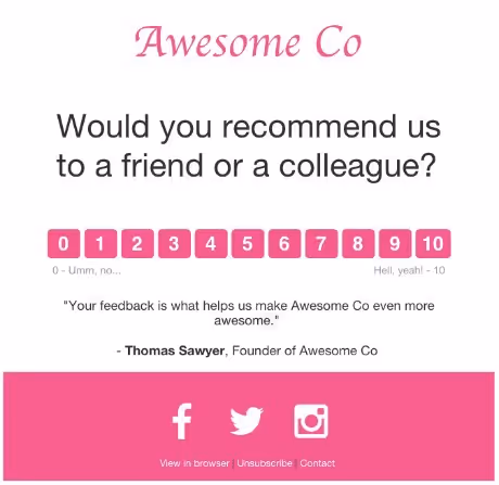 Net Promoter Score Example