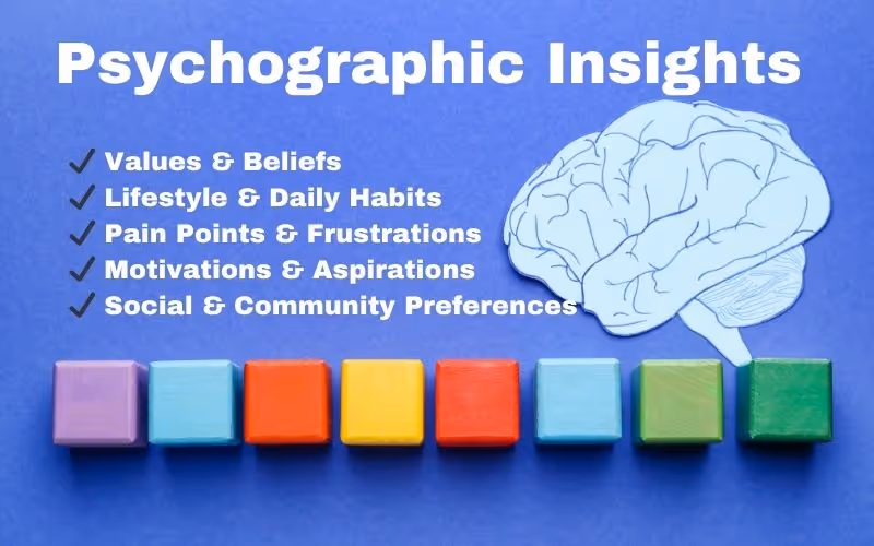 Psychographic Insights for customer experience insight.jpg
