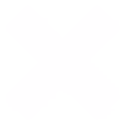Close box icon