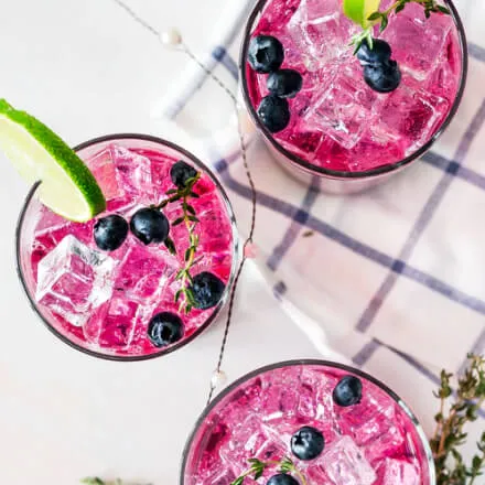 Instagram - Diet X Webflow Template