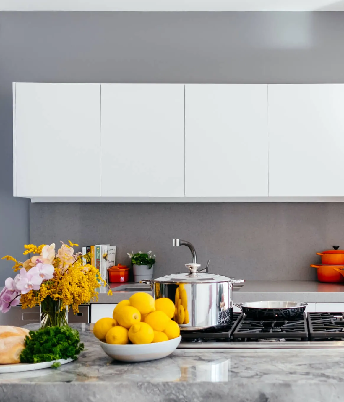 About - Diet X Webflow Template