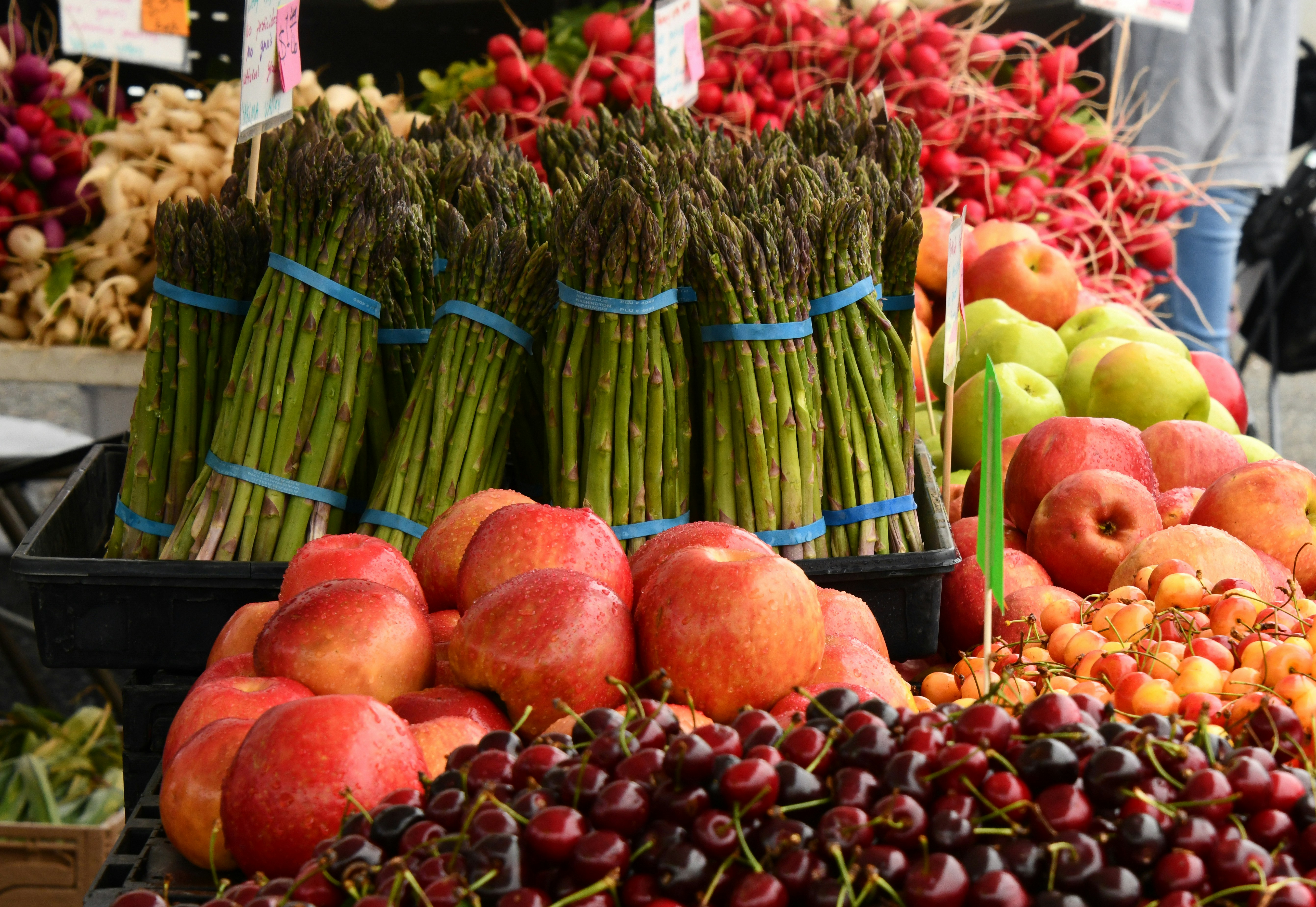 Spring Into Wellness