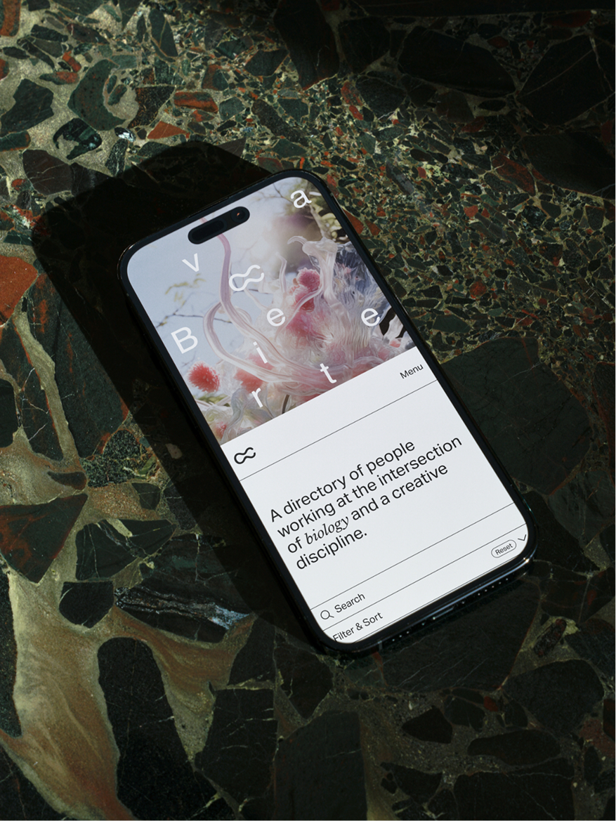 I.T — Helping to bring one of Asia's largest luxury fashion retailer to the digital age.