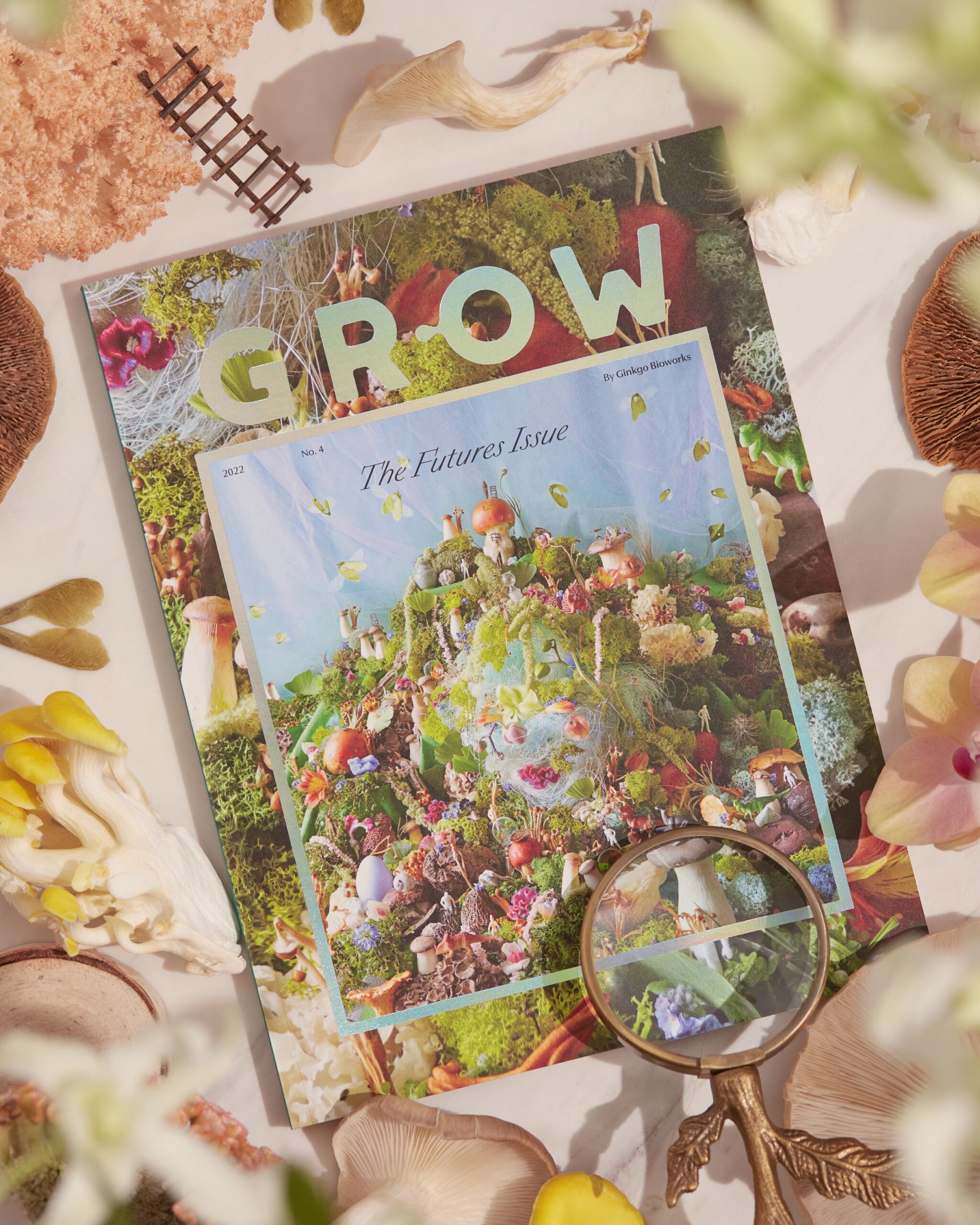 I.T — Helping to bring one of Asia's largest luxury fashion retailer to the digital age.