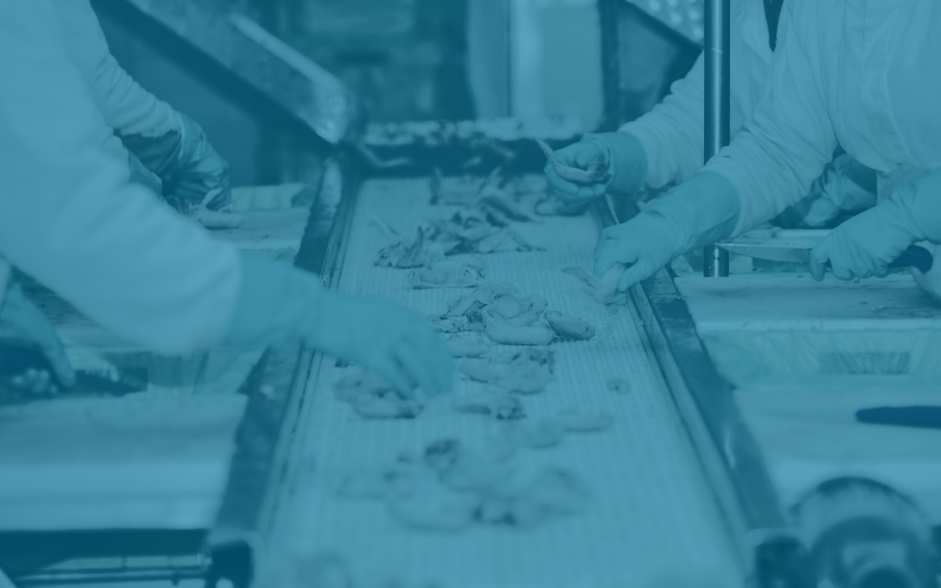 The First EOT in Arkansas