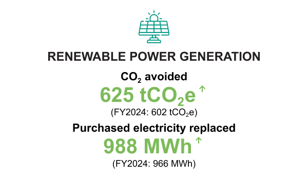 Renewable Power Generation