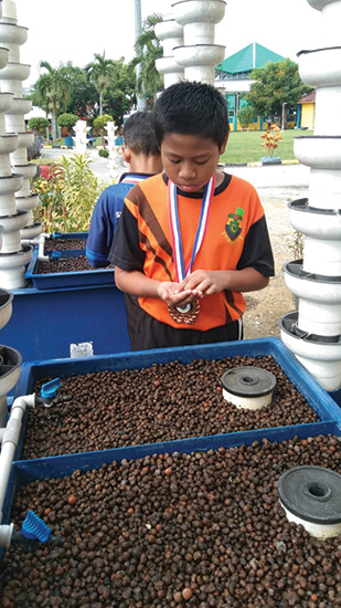 STEM Education