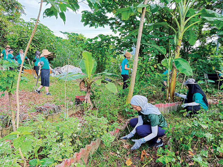 Kebun Komuniti Taman Alam Shah, Klang