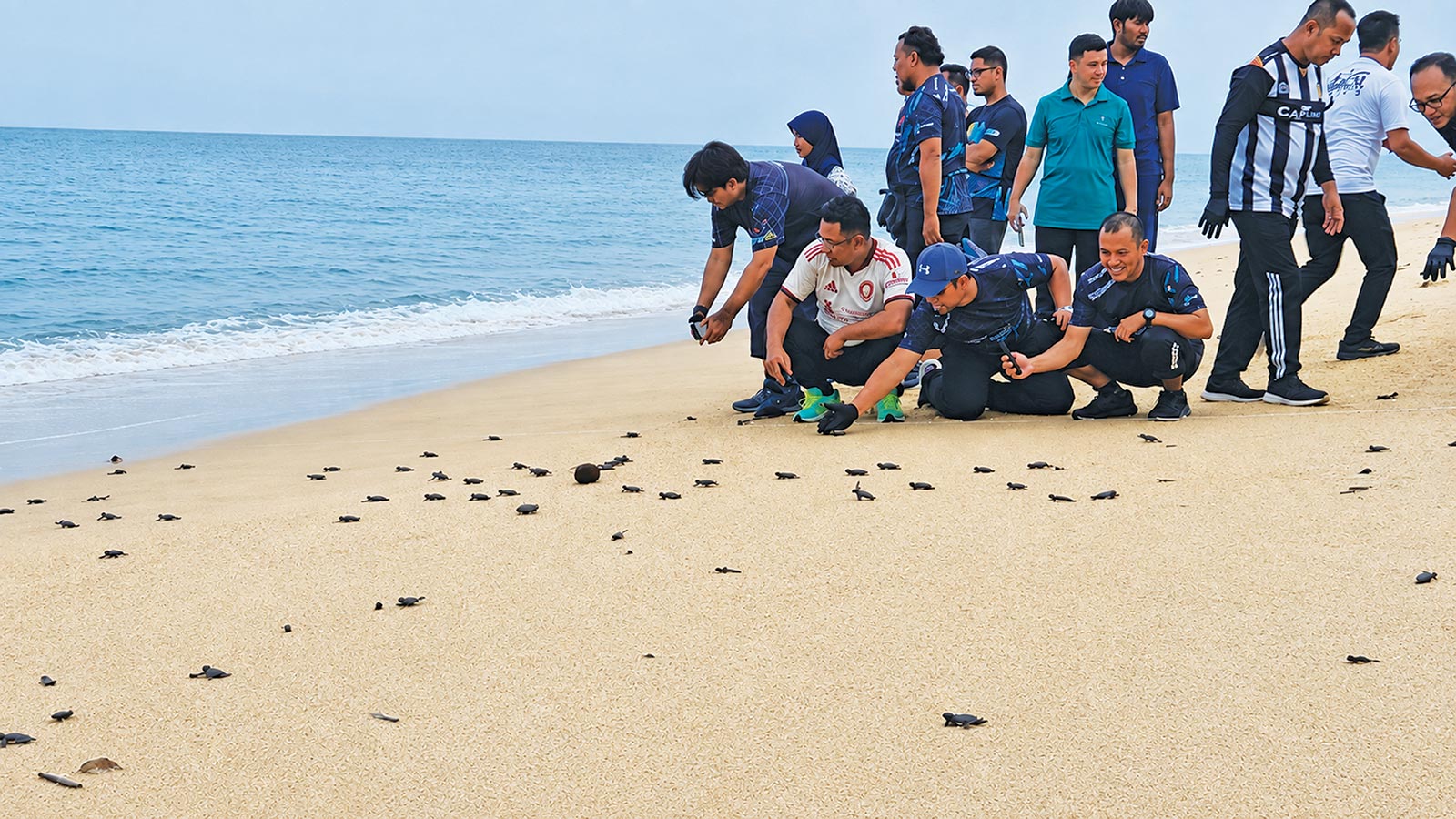Turtle hatchling release programme with the Kertih Workshop team