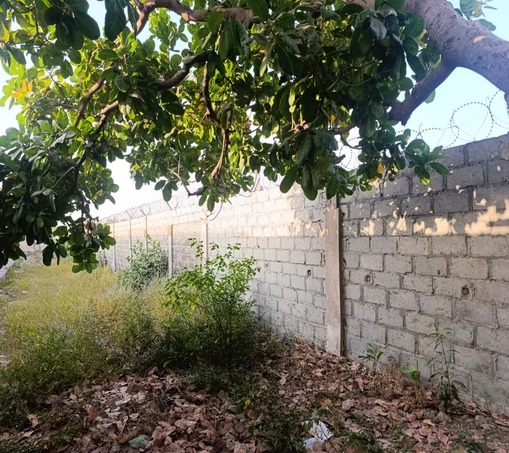 صيانة منشآت — صورة 7