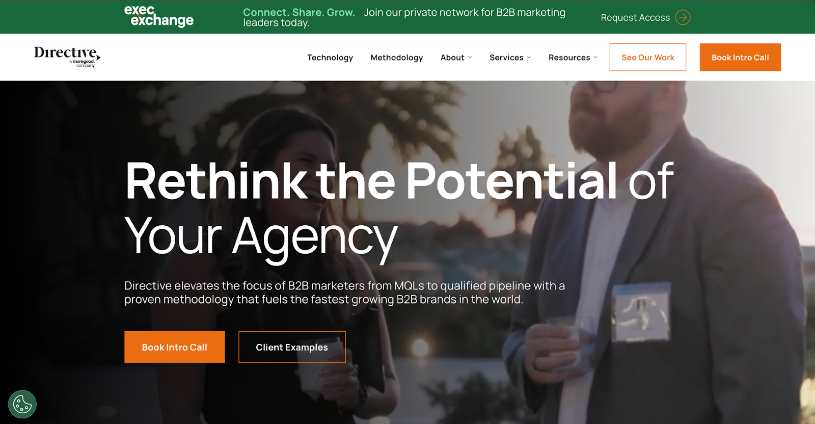 Directive Consutling Homepage