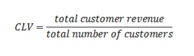 SaaS customer lifetime value