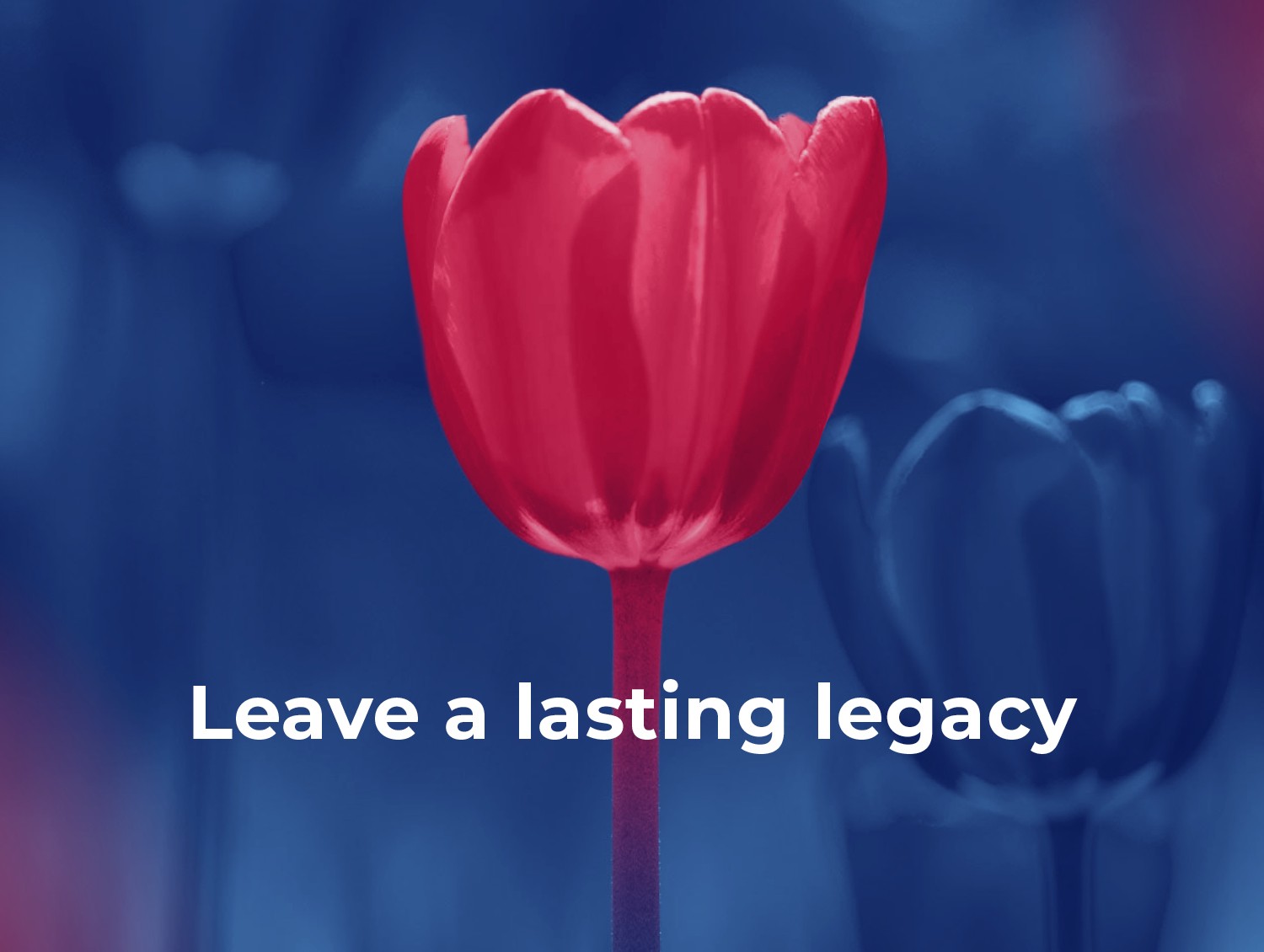 Parkinson's NZ Home page image