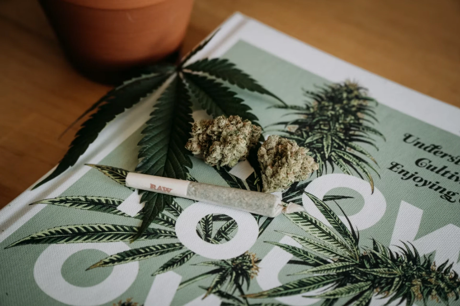 Cannabis flower, joint, and leaf on top of a book, a visual for cannabis SEO and marketing