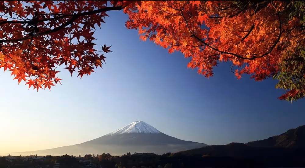 Japan tour dates announced