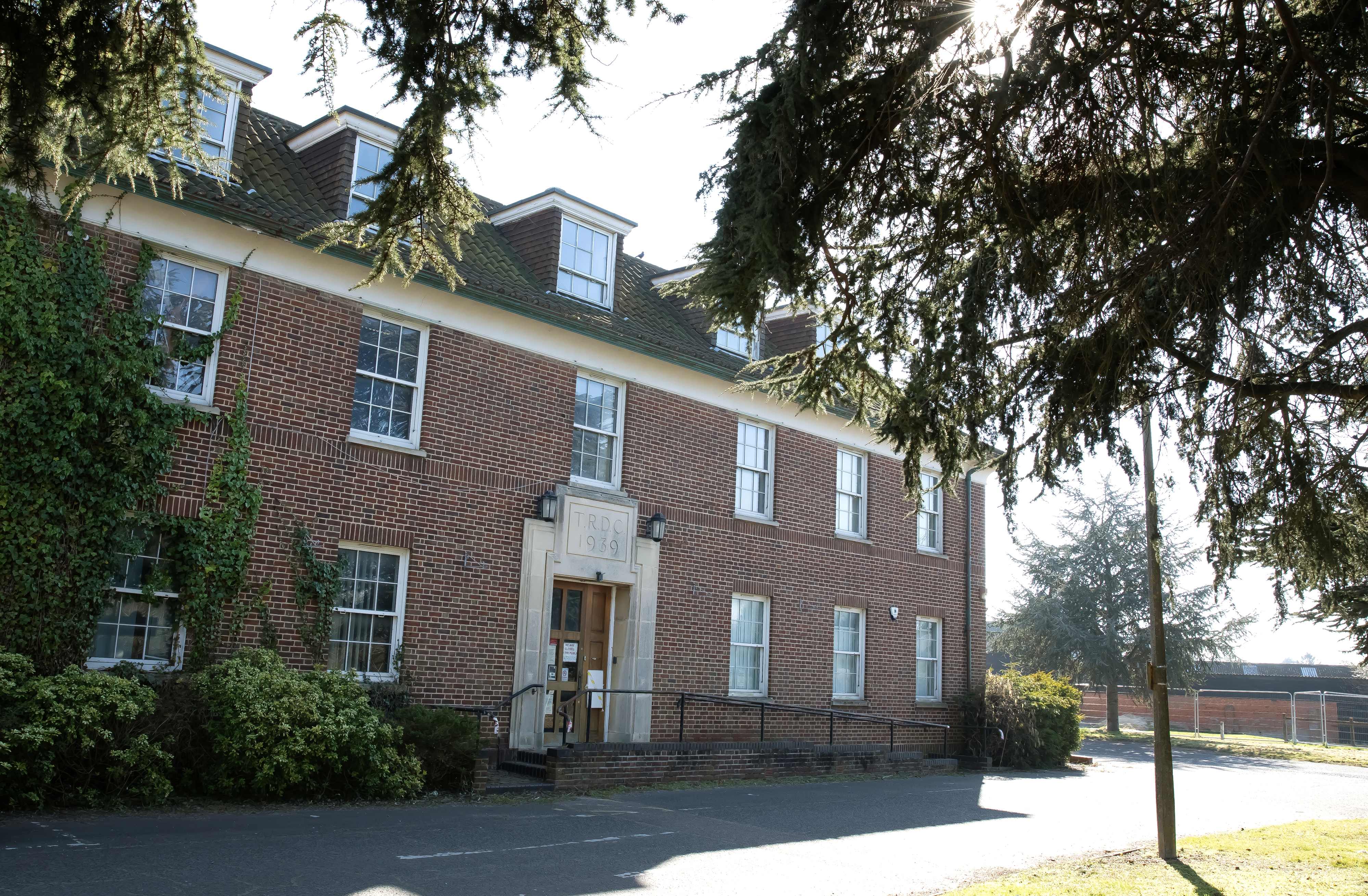 Cute dog sitting on the floor