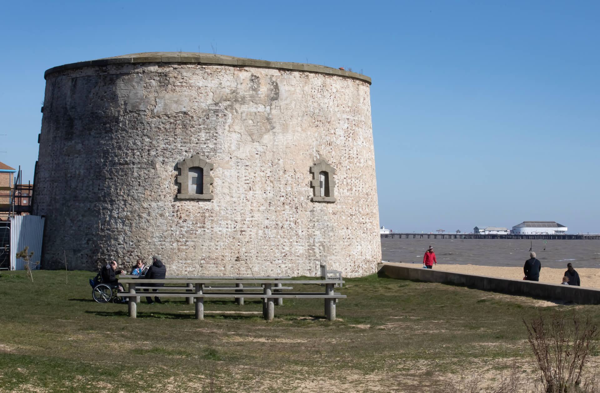 Cute dog sitting on the floor