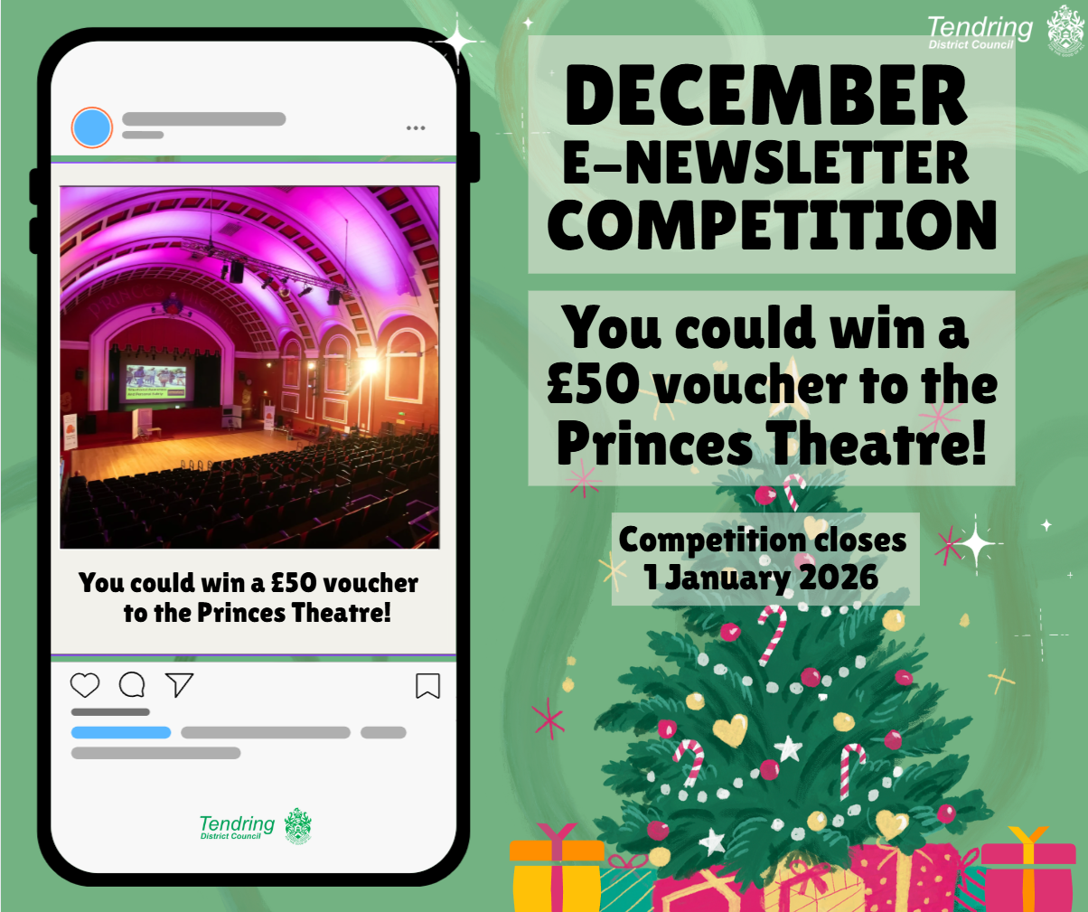 Cute dog sitting on the floor