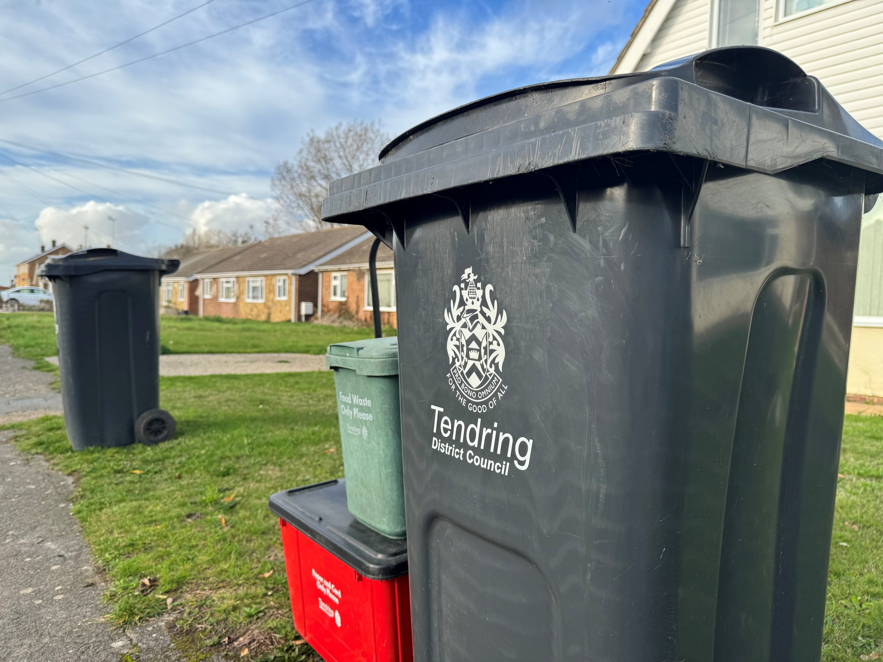 Cute dog sitting on the floor