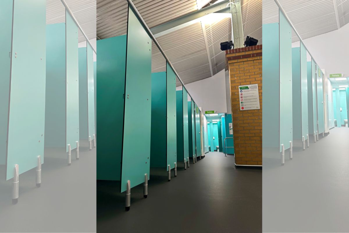 Cute dog sitting on the floor