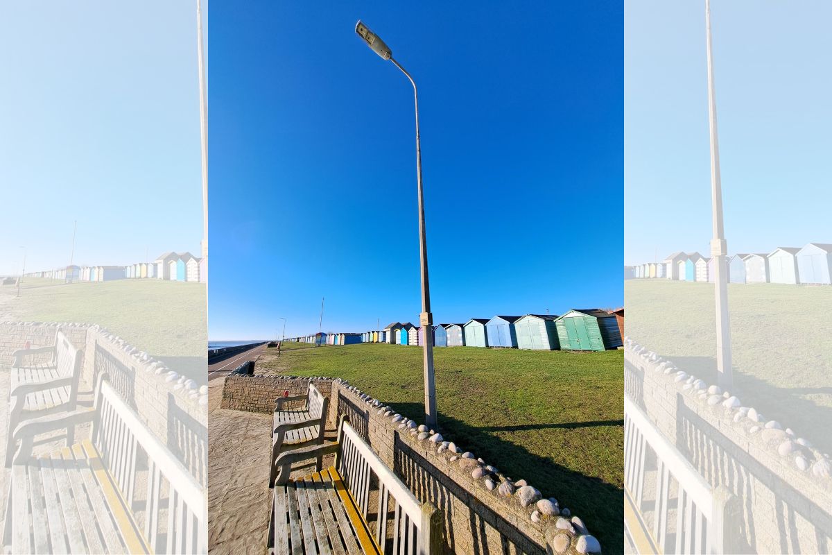 Cute dog sitting on the floor