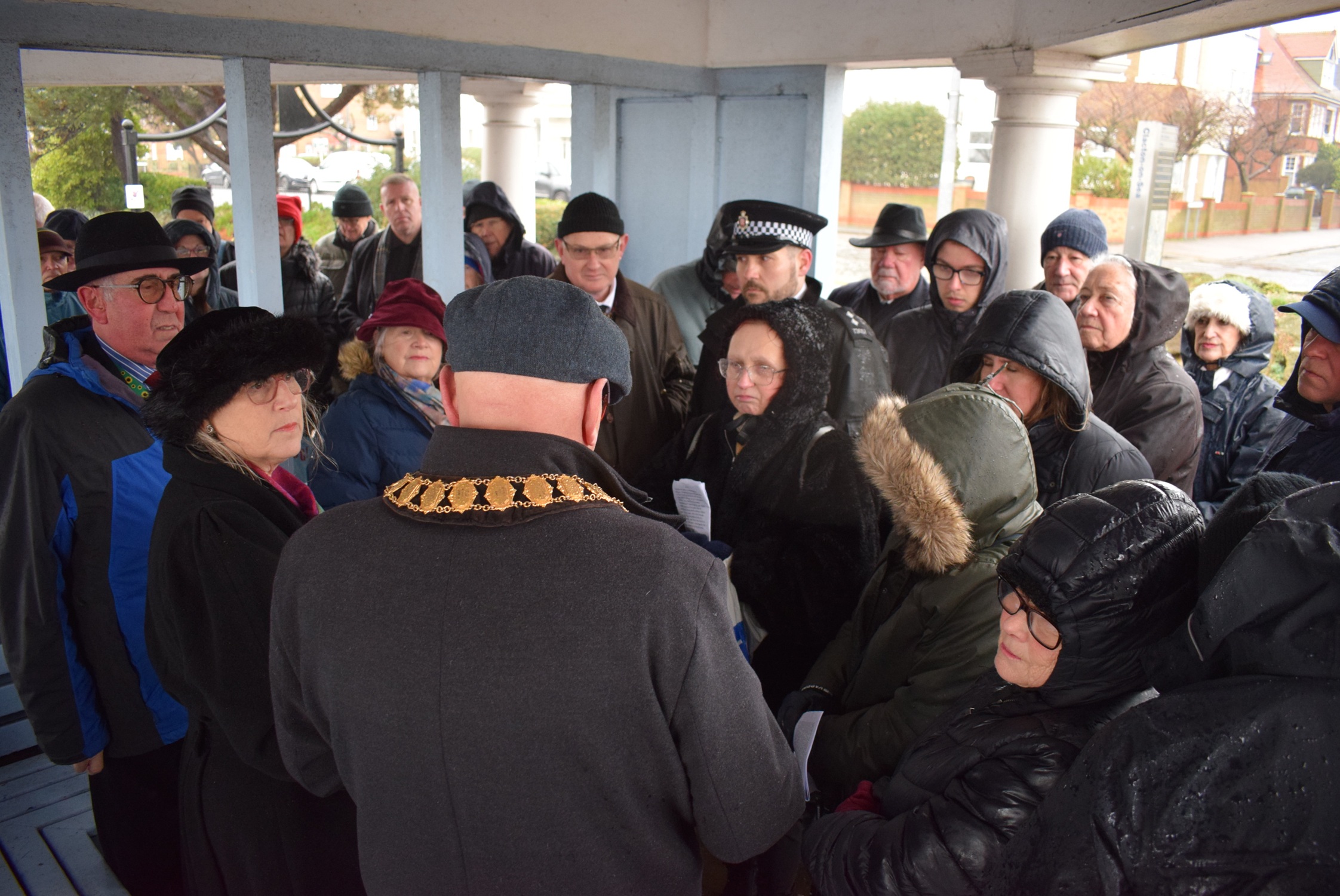 Cute dog sitting on the floor