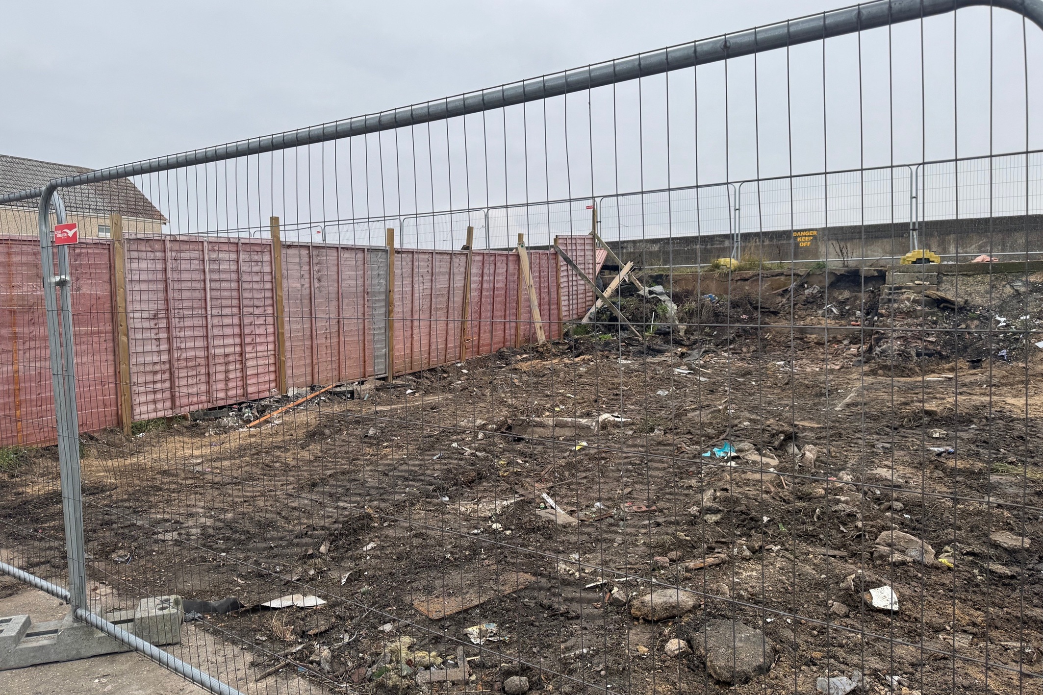 Cute dog sitting on the floor