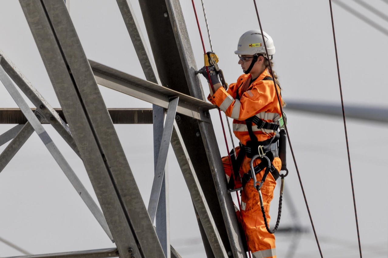 Cute dog sitting on the floor