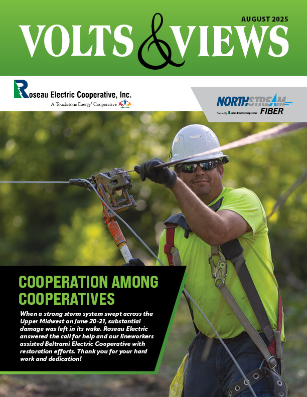 August Volts & Views Newsletter Cover