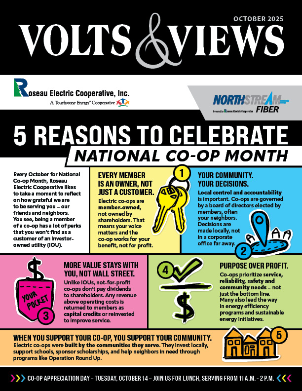 October Volts & Views Newsletter Cover