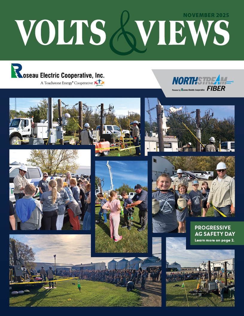 October Volts & Views Newsletter Cover