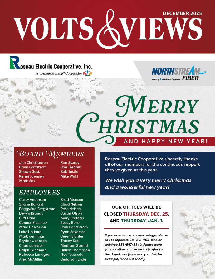 October Volts & Views Newsletter Cover