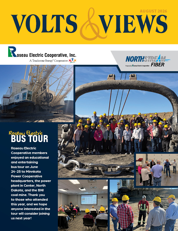 August 2026 Volts & Views Newsletter Cover