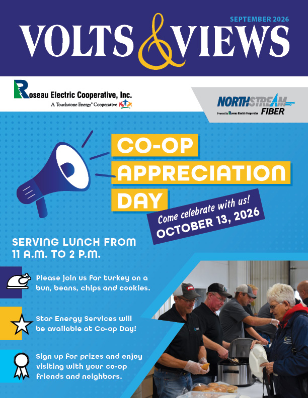 September 2026 Volts & Views Newsletter Cover