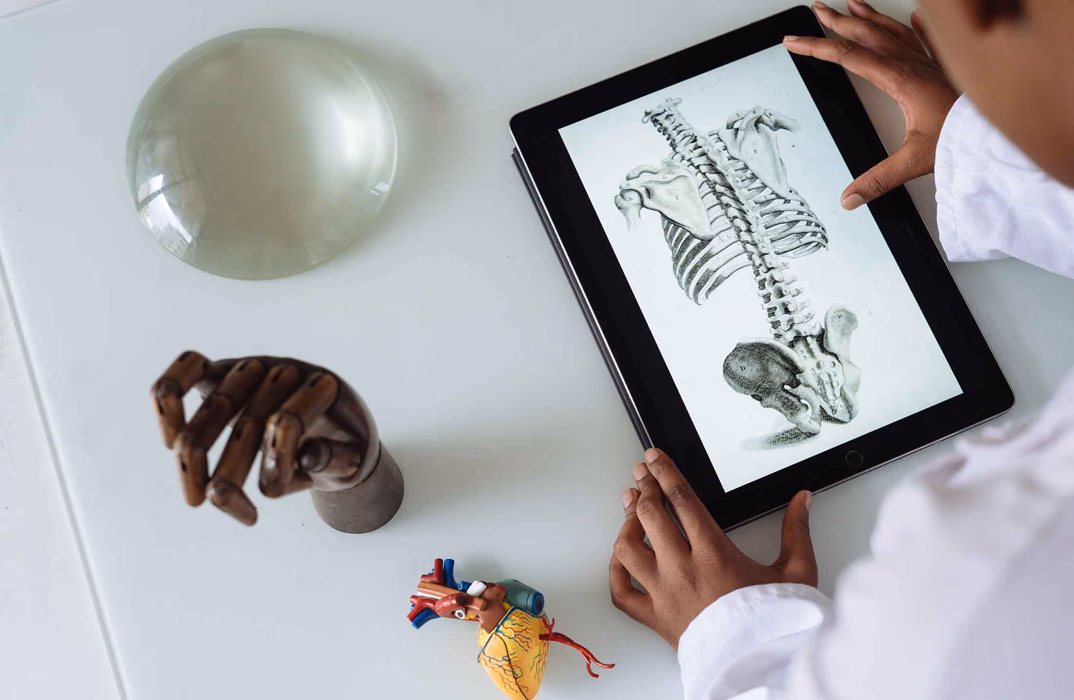 7 aplicativos que podem facilitar a vida dos estudantes de Medicina