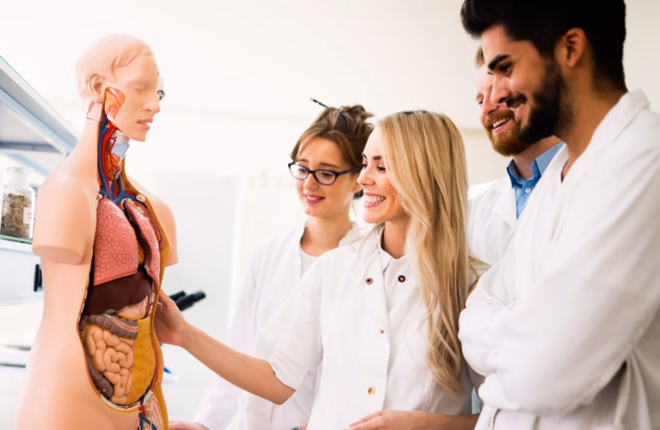 Como se preparar para sua primeira aula de anatomia