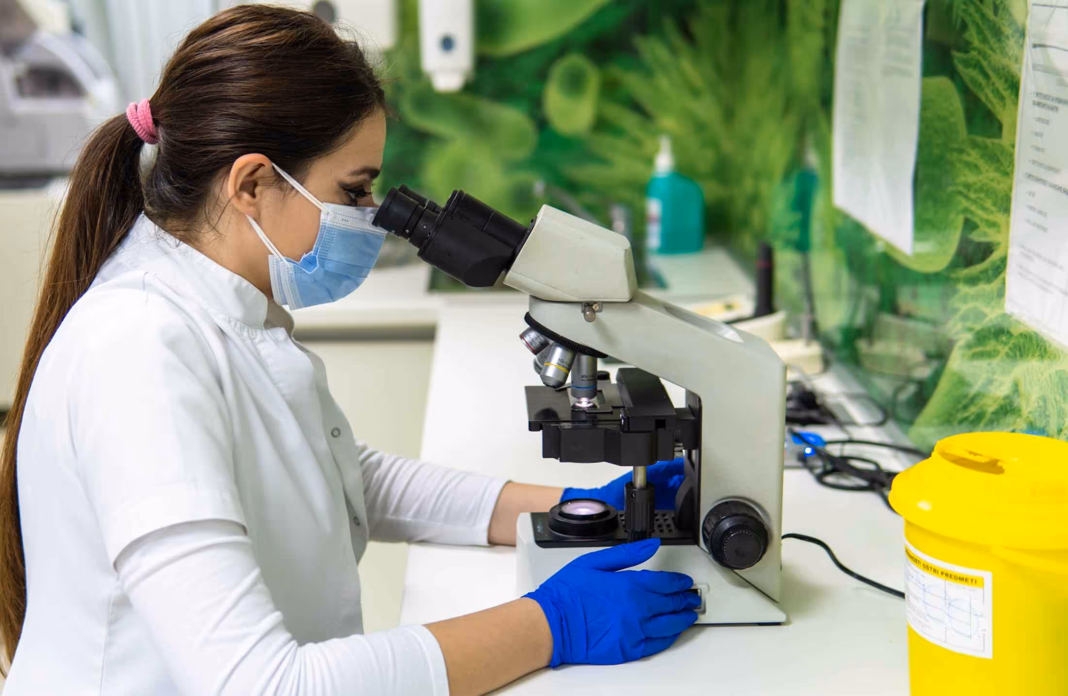 Bioestatística: o que é e como estudar para as provas