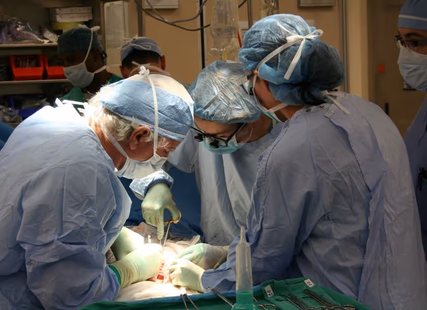 Afinal, como é feito um transplante de órgão ou tecido?
