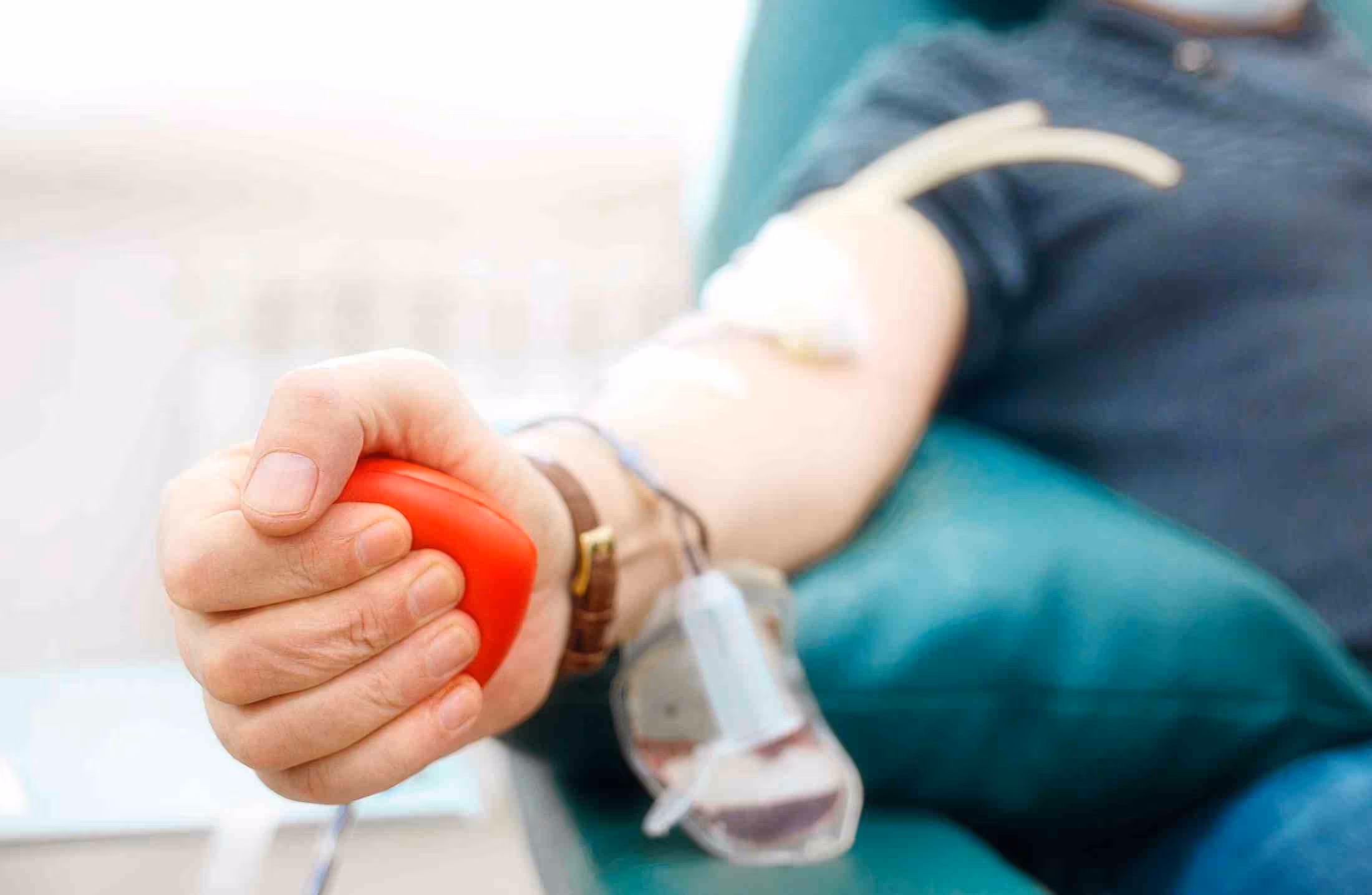 Doação de sangue: entenda a importância