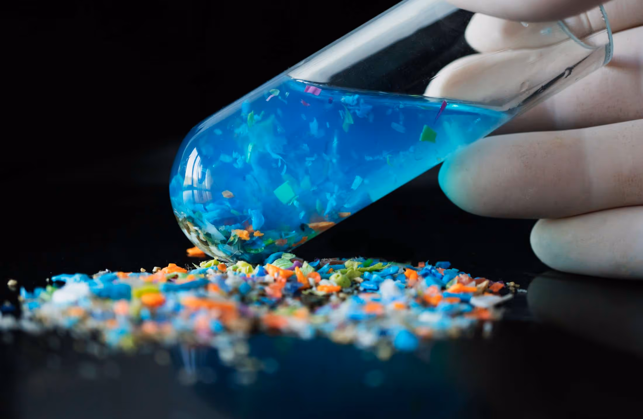 Microplásticos: O que são e quais os perigos para a saúde humana e animal?