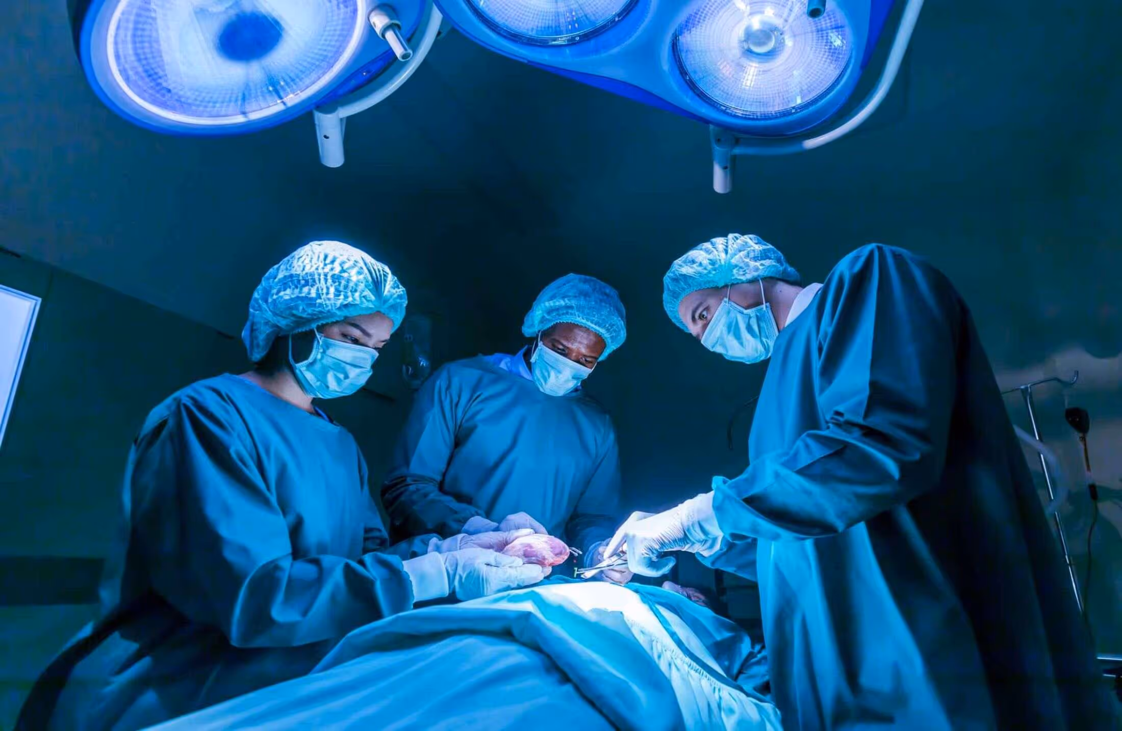 Xenotransplantes: o que são e como funcionam?