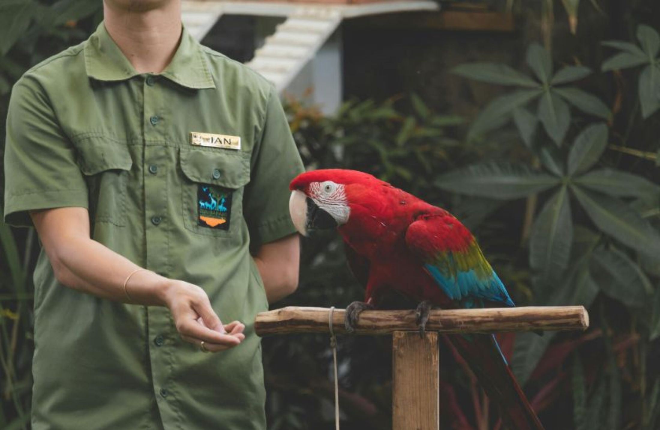 Zoologia: um guia completo dos reinos animais e principais filos para o vestibular