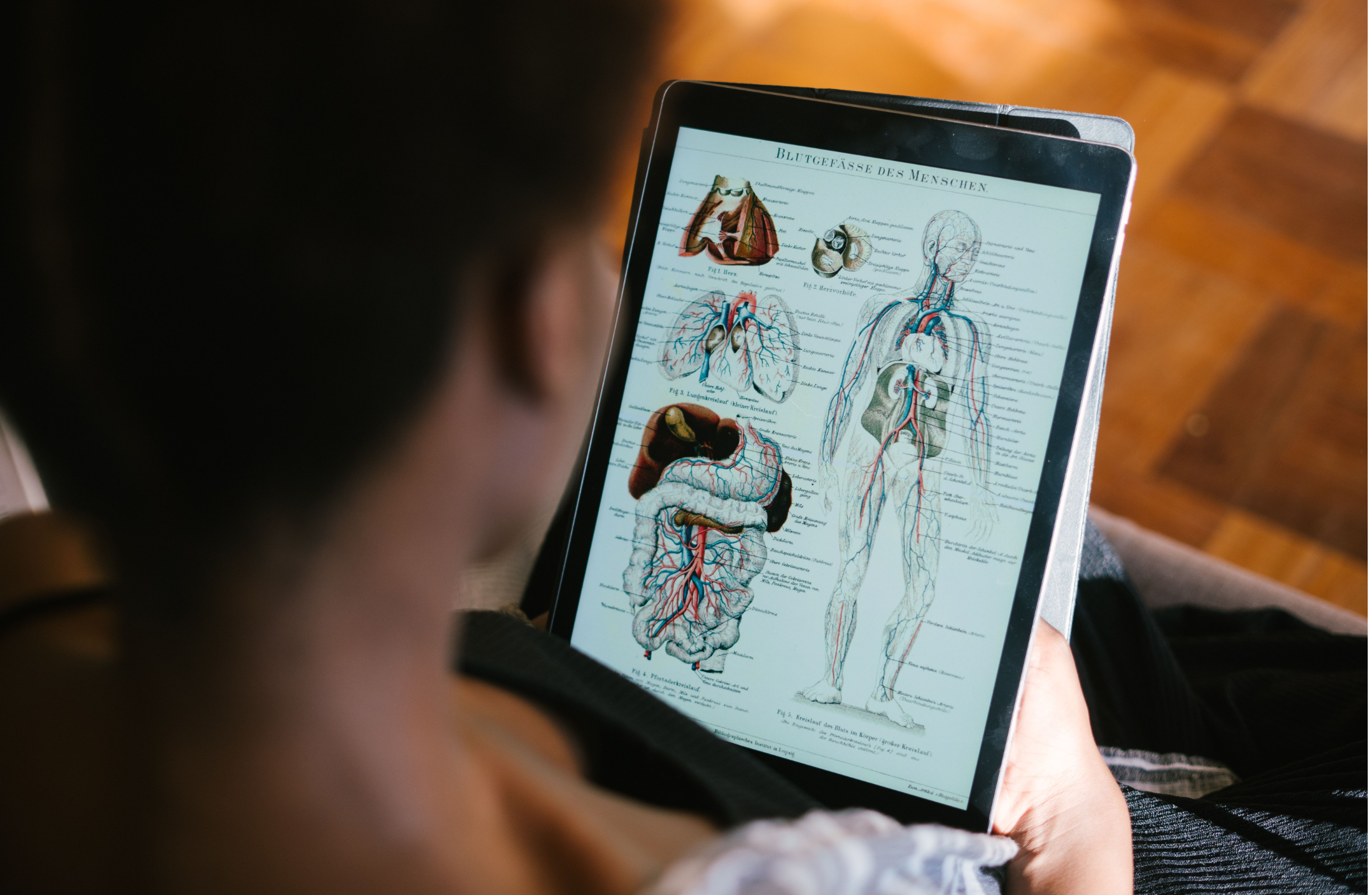 Blurting: como usar a técnica para revisar Biologia para Enem