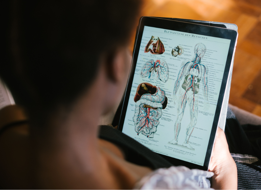 Blurting: como usar a técnica para revisar Biologia para Enem