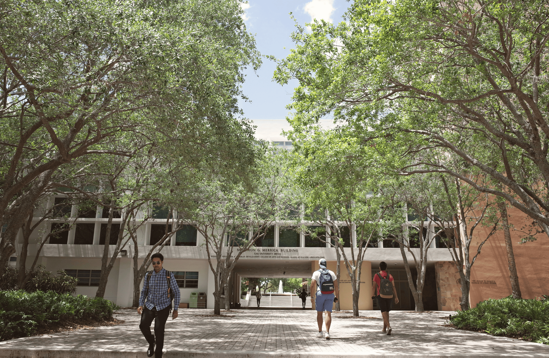 Faculdade pública ou particular de Medicina: como escolher?
