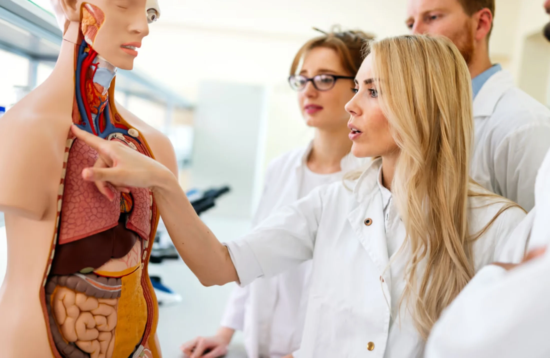 Rotina de um estudante de Medicina: conheça o dia a dia